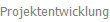 Projektentwicklung